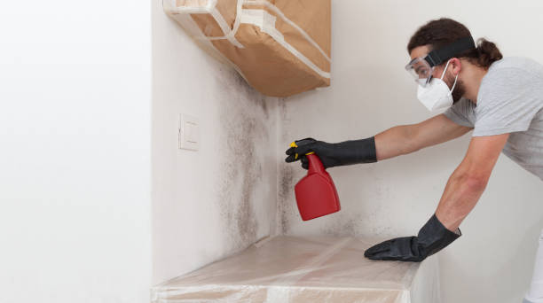 Professional Crawl Space Mold Remediation technician working in Interlochen, MI